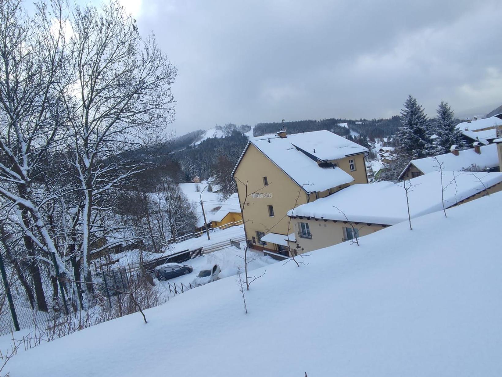 Penzion Sally Albrechtice v Jizerskych horach Exterior foto